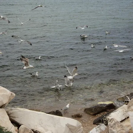 Case de vacanță Aegean Balcony