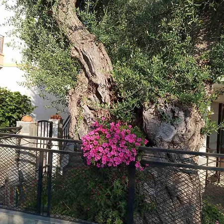 Aegean Balcony 度假居