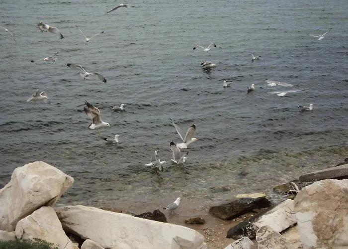 度假居 Aegean Balcony