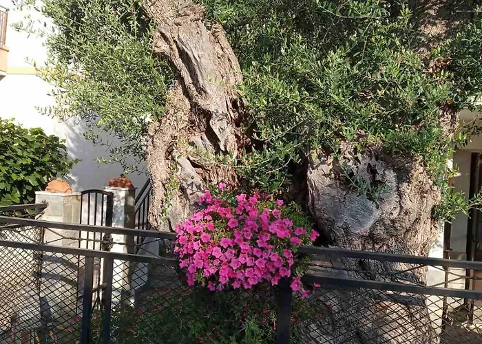 Aegean Balcony 度假居